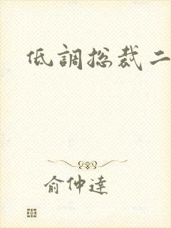 低调总裁二手妻