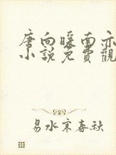 唐向暖南亦琛的小说免费观看