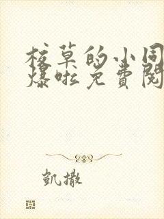 校草的小同桌撩爆啦免费阅读