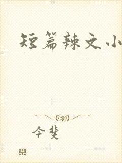 短篇辣文小说
