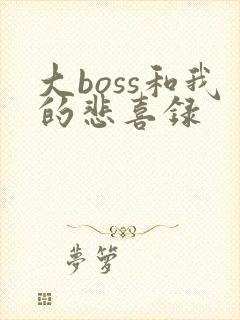 大boss和我的悲喜录