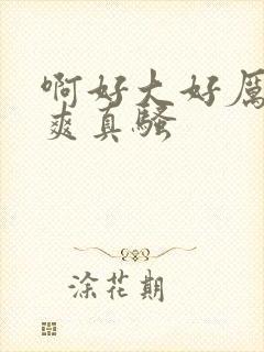 啊好大好厉害好爽真骚