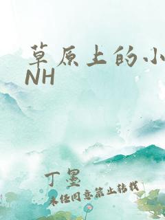 草原上的小公主NH