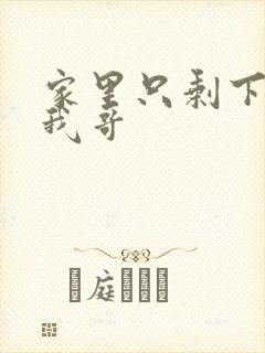 家里只剩下我和我哥