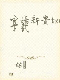 官场新贵txt下载