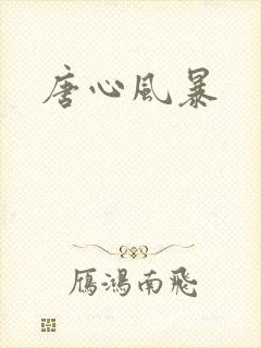 唐心风暴