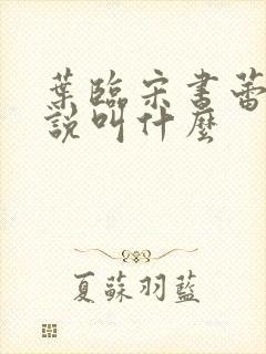 叶临宋书蕾的小说叫什么