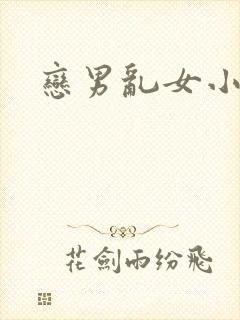 恋男乱女小说