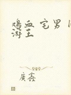 鸡血 宅男 网游王