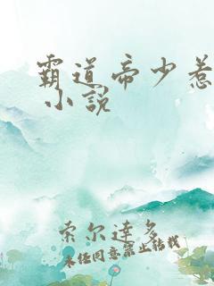 霸道帝少惹不得 小说