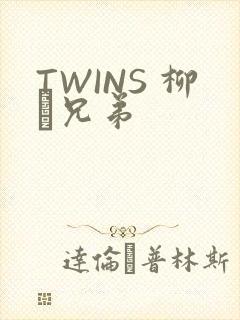 TWINS 柳澤兄弟