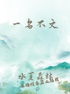 一名不文