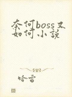 奈何boss又如何小说