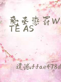 飞丞惩罚WRITE AS