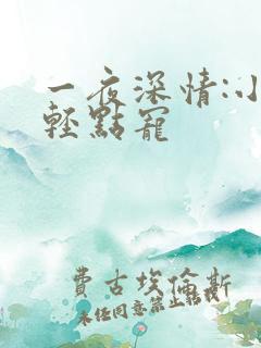 一夜深情:小叔轻点宠