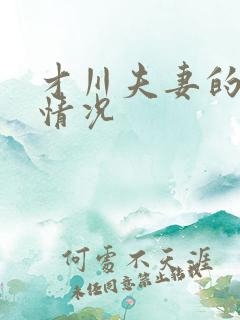 才川夫妻的恋爱情况