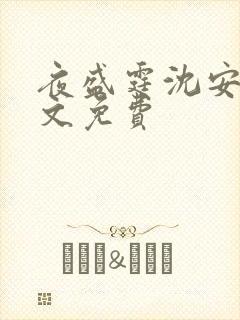 夜盛霆沈安然全文免费