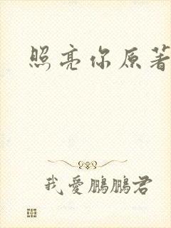 照亮你原著小说