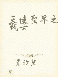 天使圣界之神之战士