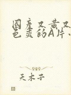 国产又黄又大又色爽的A片小说