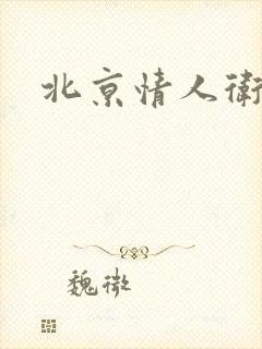 北京情人卫慧