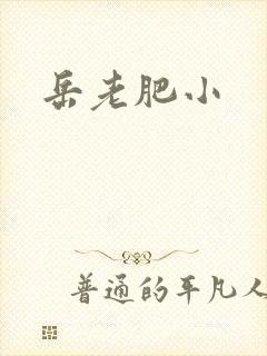 岳老肥小