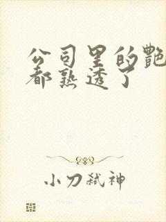 公司里的艳妇们都熟透了