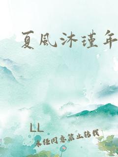 夏风沐瑾年