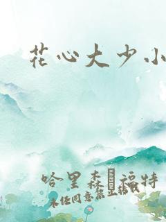 花心大少小说