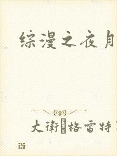 综漫之夜月