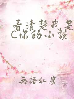 看清楚我是怎么C你的小说