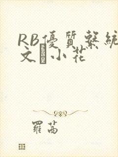 RB优质系统全文寀小花