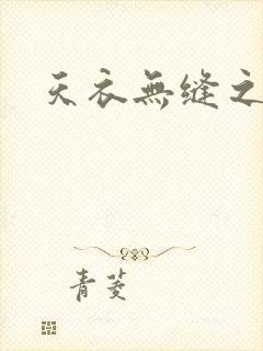 天衣无缝之极限