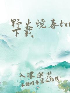 野火烧春txt下载