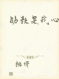 助教是我心尖宠