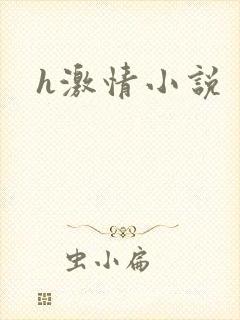 h激情小说