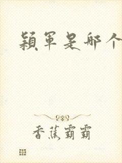 颖军是哪个军阀