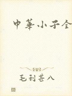 中华小子全集