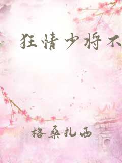 狂情少将不良妻