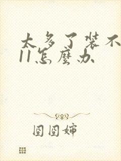 太多了装不下h11怎么办