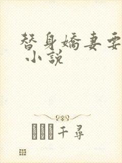 替身娇妻要离婚 小说