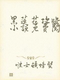 黑莲花攻略手册小说免费阅读全文