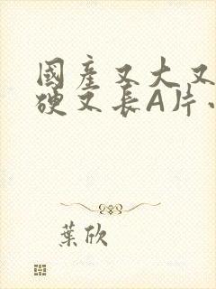 国产又大又粗又硬又长A片小说