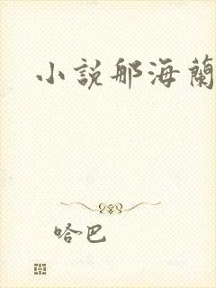 小说那海兰珠