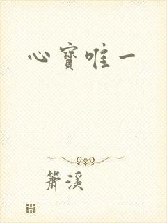 心宝唯一
