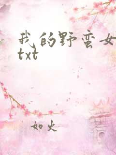 我的野蛮女上司txt