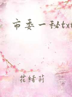 市委一秘txt