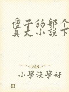 傻子的那个东西真大小说下载