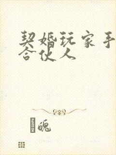 契婚玩家手册之合伙人