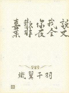 喜欢你我说了算叶非夜全文免费阅读